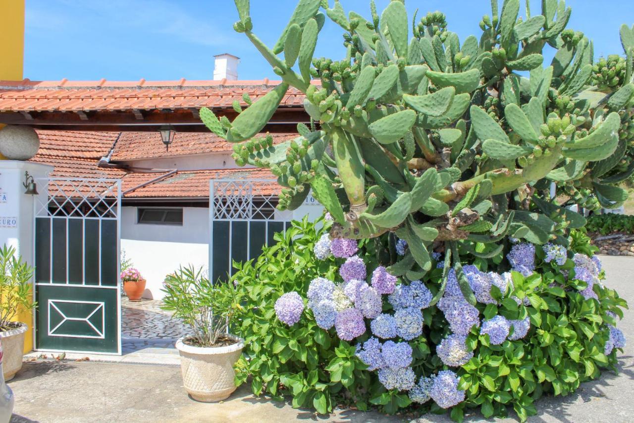 Hotel Quinta De Vale Escuro Lousã Esterno foto